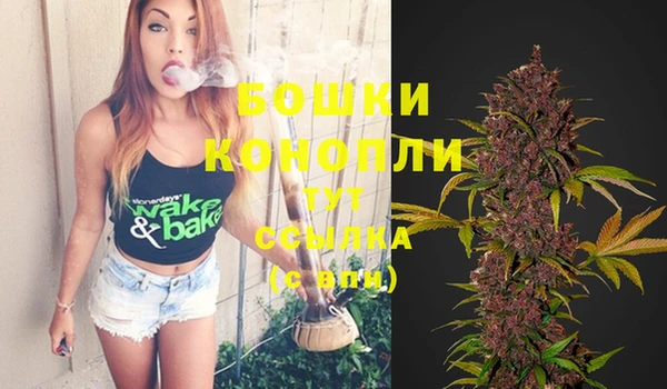 ПСИЛОЦИБИНОВЫЕ ГРИБЫ Лиски