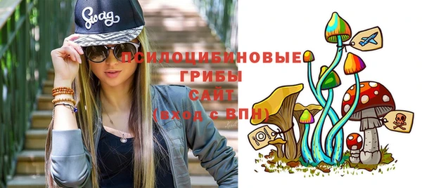 ПСИЛОЦИБИНОВЫЕ ГРИБЫ Лиски