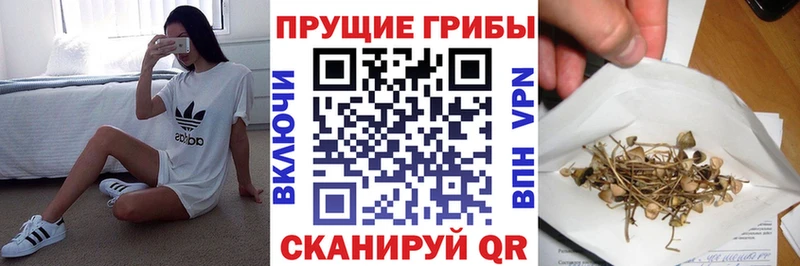 Псилоцибиновые грибы Magic Shrooms  как найти   Нефтегорск 